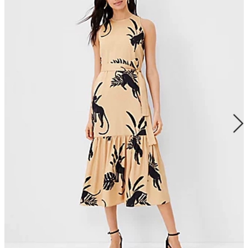 ANN TAYLOR dress